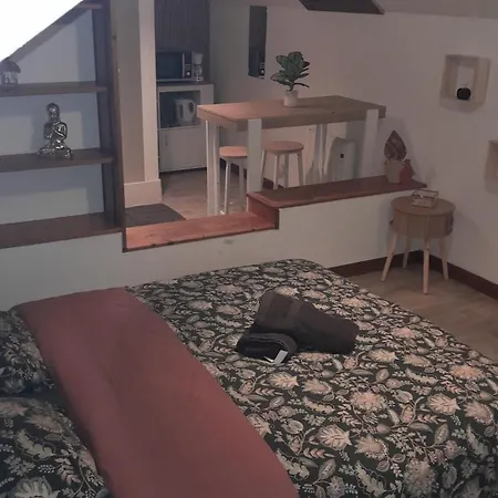 5 Cosy De La Demi-lune Amiens