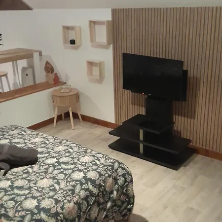 Apartment 5 Cosy De La Demi-lune *